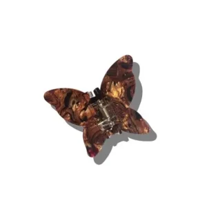 Solar Eclipse Schmetterling Kupfer Letzte Chance